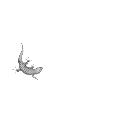 Logo Bostik